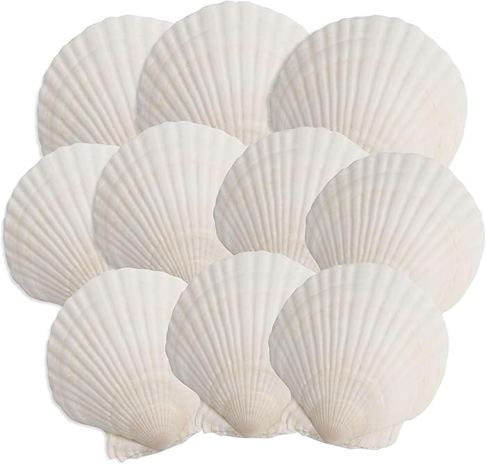 10PCS Scallop Shells, 4''-5'' White Seashells,for DIY Crafts, Painting, Ocean Themed Parties and ... | Amazon (US)