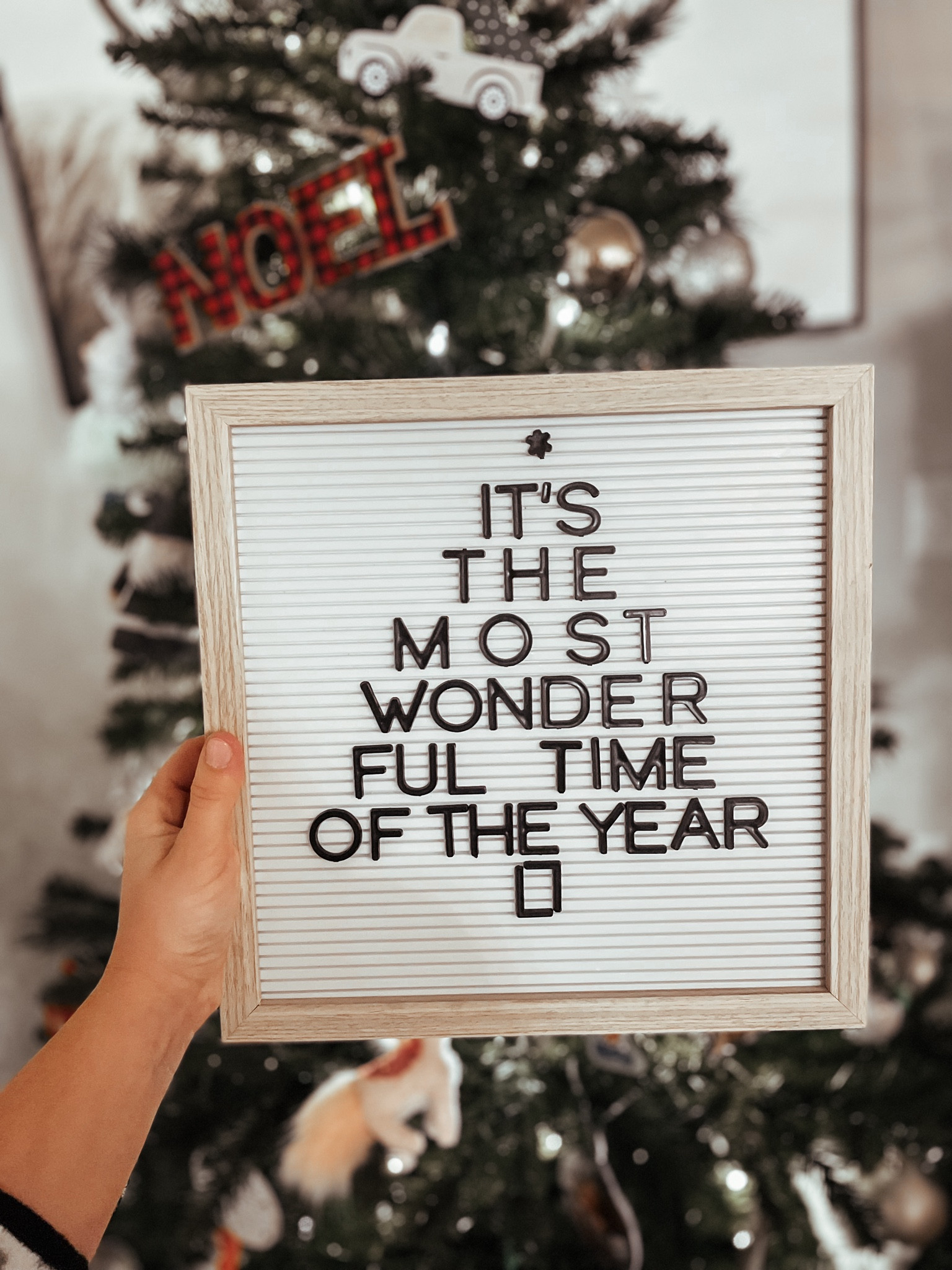 🎅🏼🎄

#LTKhome #LTKHoliday #LTKSeasonal