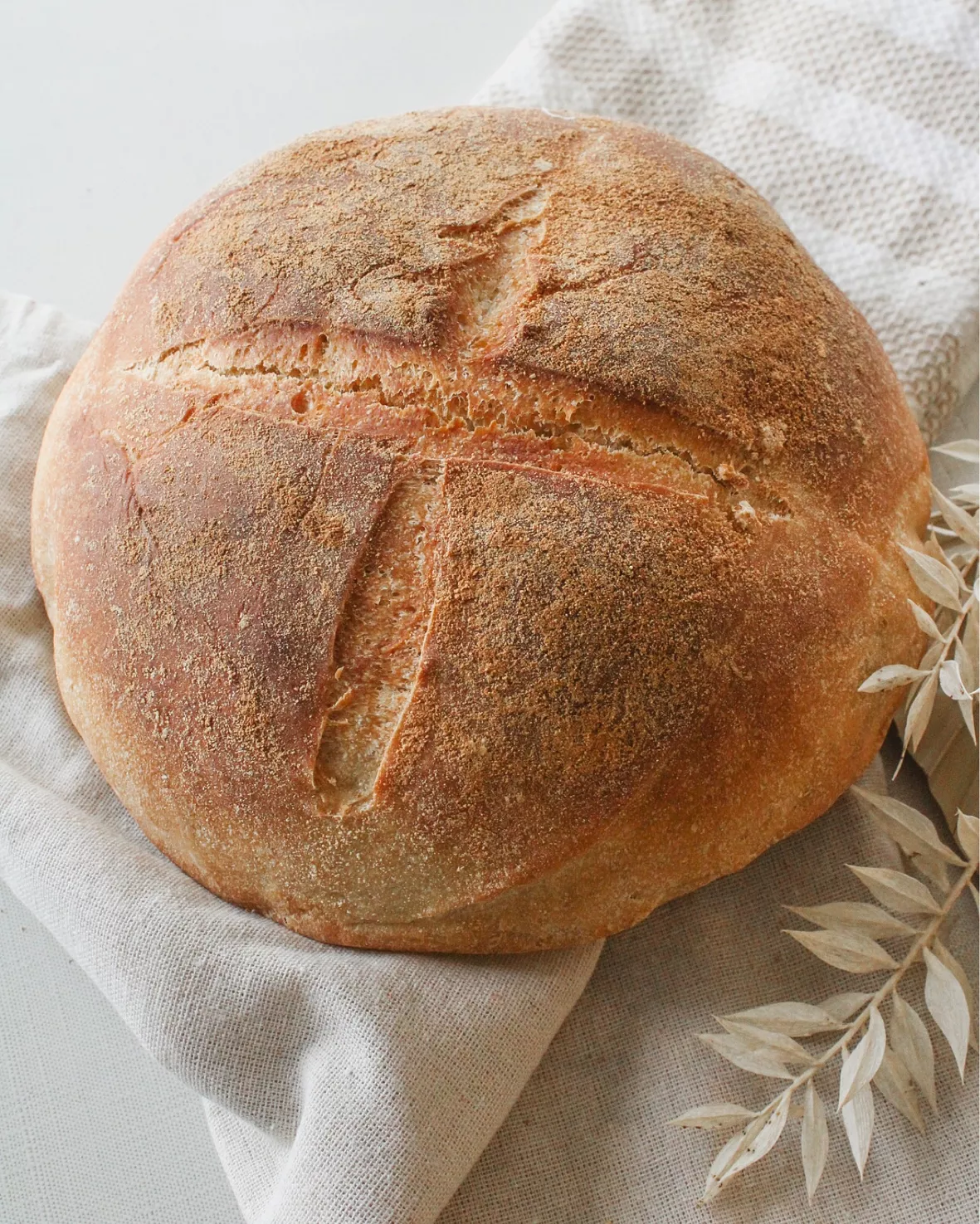 Neretva Bread Maker Machine, … curated on LTK