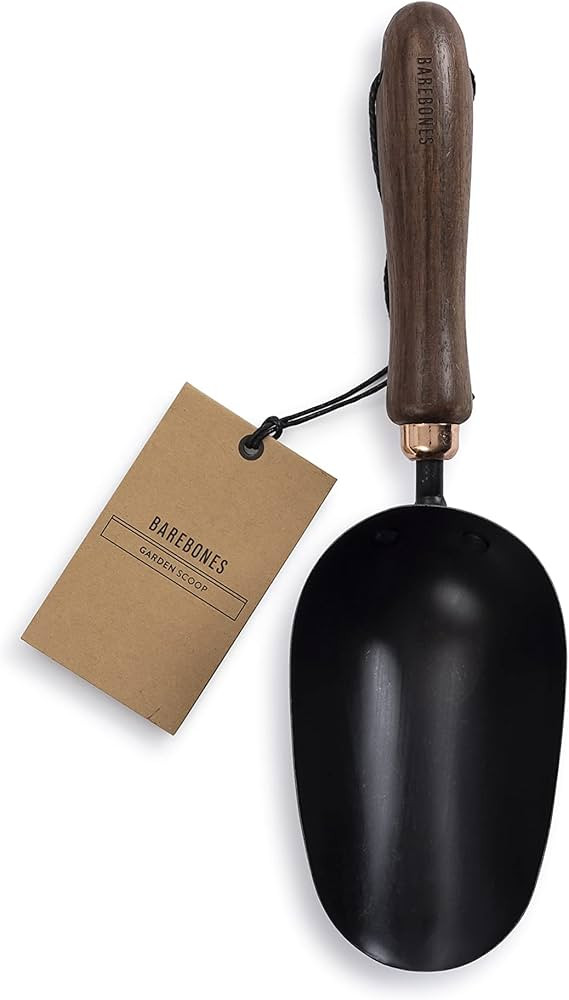 Barebones Garden Scoop - Garden Spoon - Stainless Steel Small Hand Shovel for Transplanting, Digg... | Amazon (US)