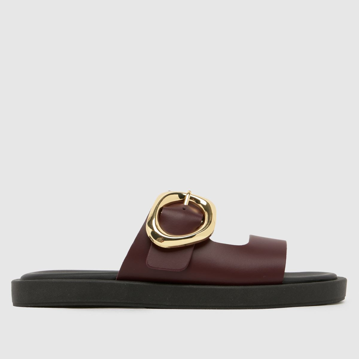 Womens Burgundy schuh Teela Leather Buckle Sandals | schuh | Schuh