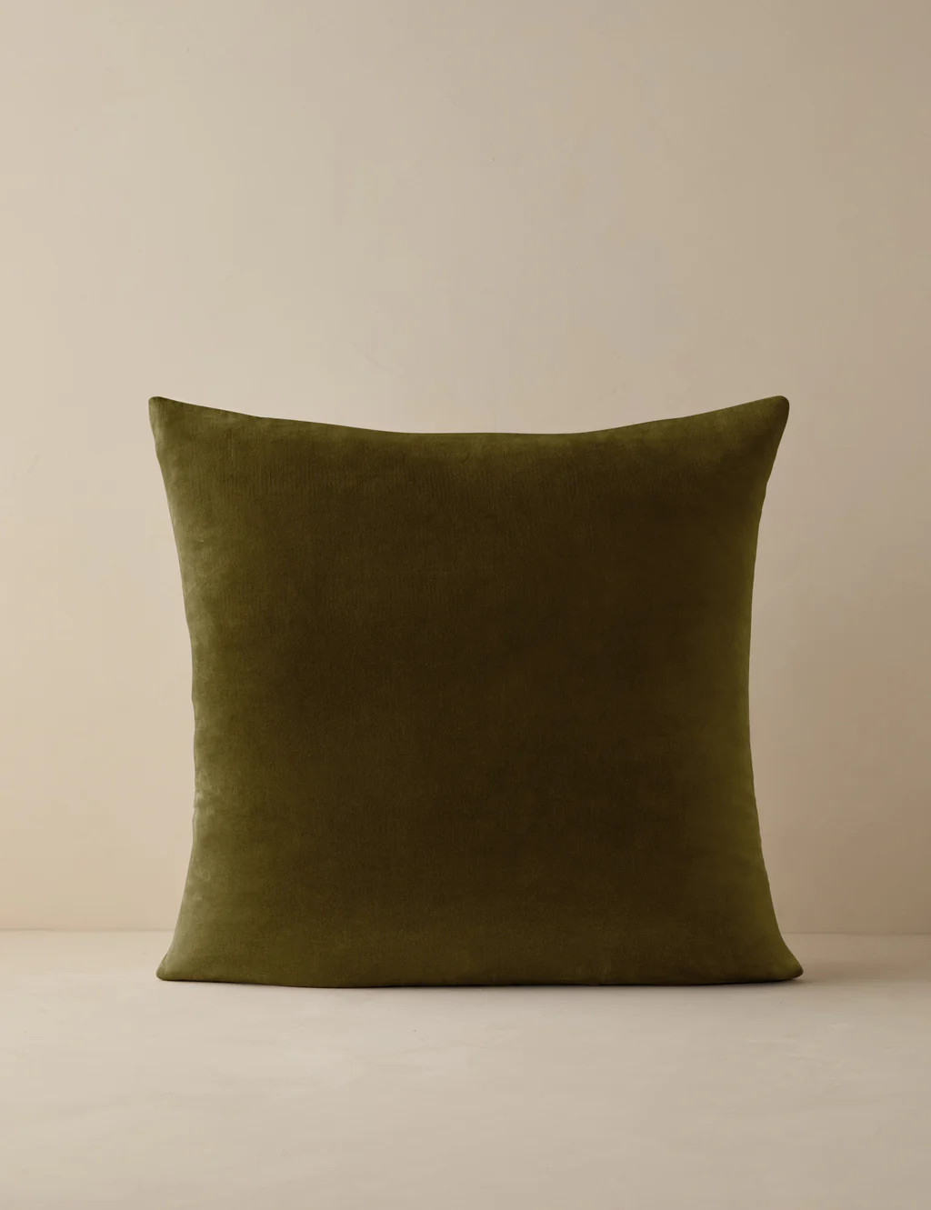 Charlotte Velvet Pillow | Lulu and Georgia 