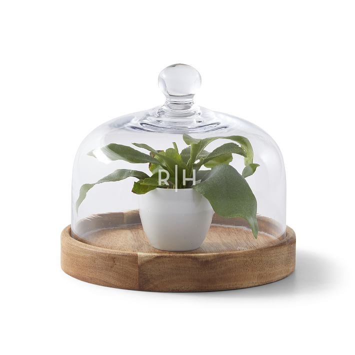 Acacia Wood Cloche | Mark and Graham