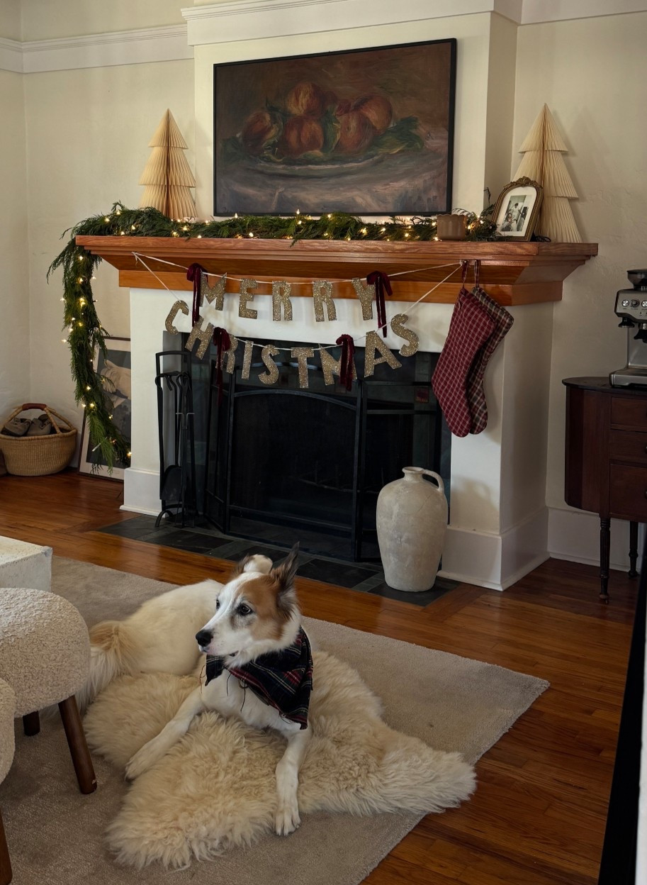 linking all of our holiday decor!! Garland is actually fresh from Traders Joes and I used incandescent lights from HomeDepot to light them up 

Also the Merry Christmas sign is vintage, from my mom! But linked a similar optionn

#LTKHoliday #LTKHome #LTKFindsUnder50