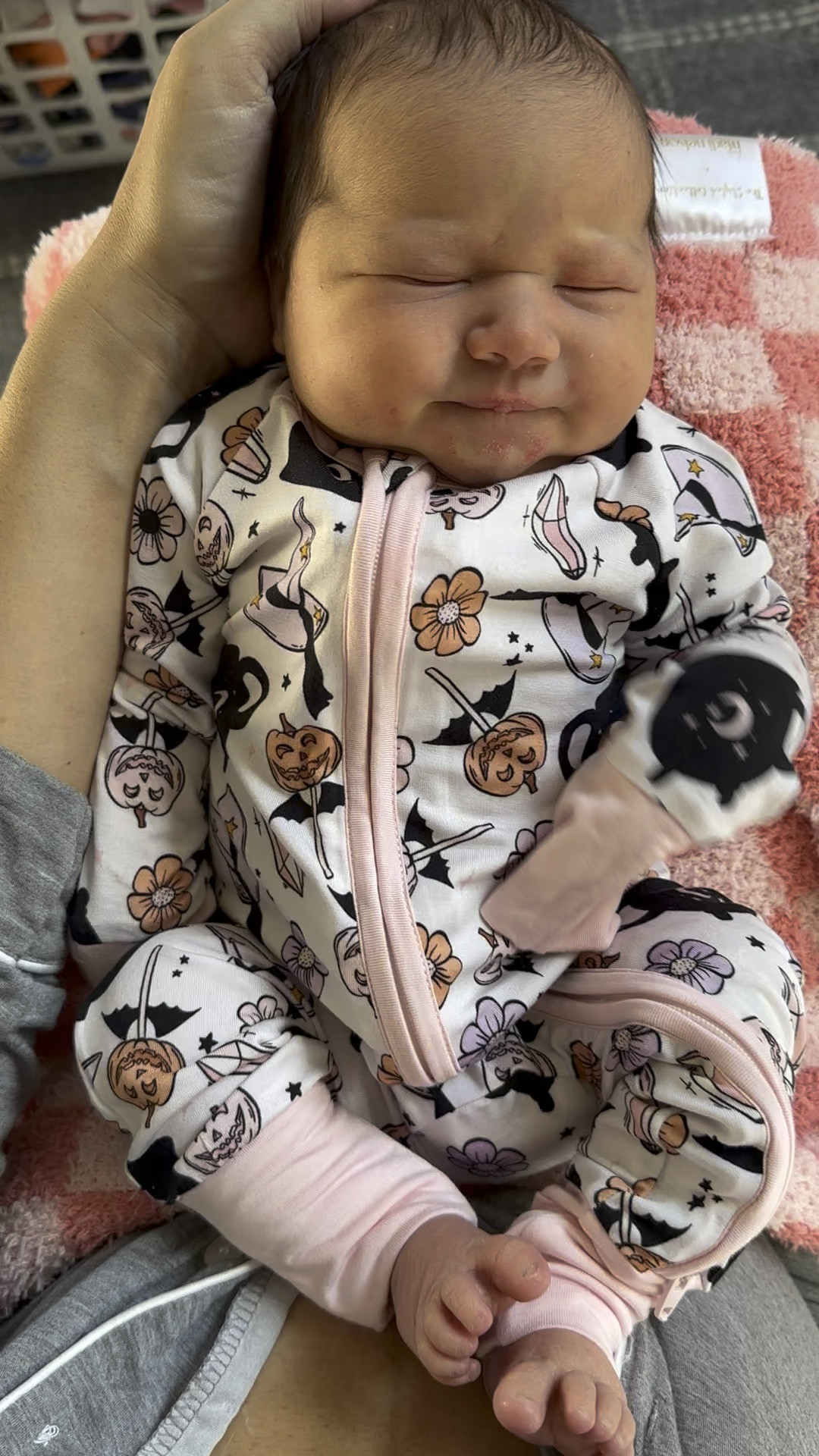 Halloween jams!🌸🪩🦇