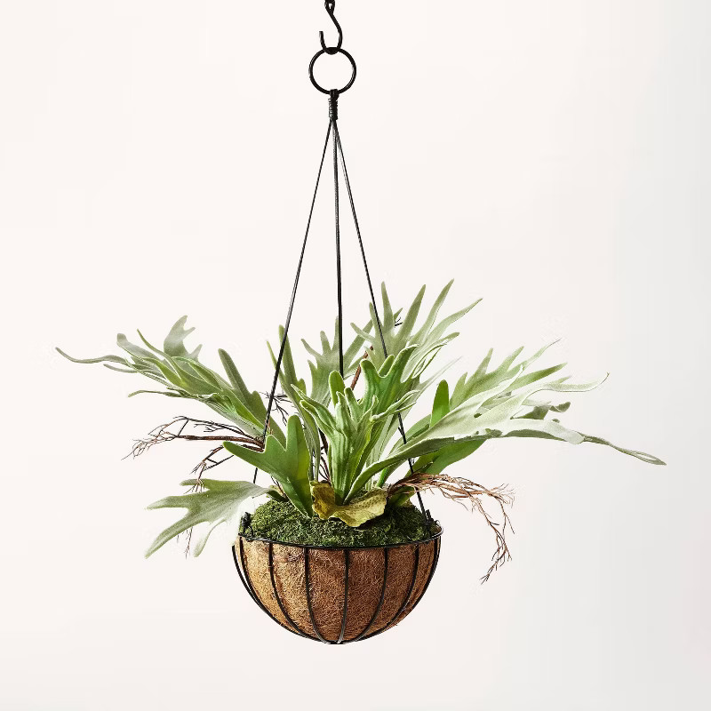 13" Artificial Hanging Staghorn Plant - Hilton Carter for Target | Target