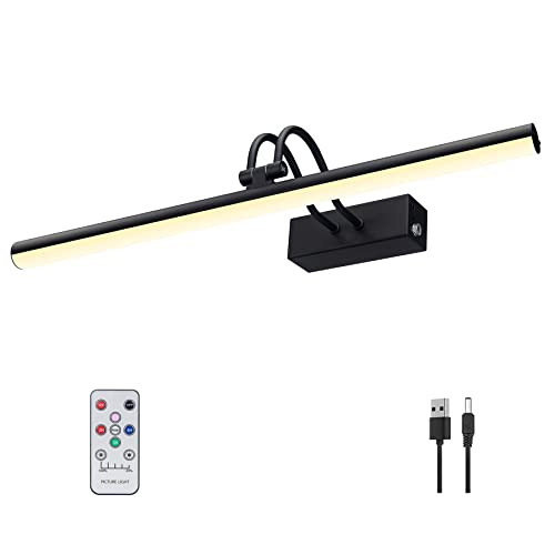 Picture Light, 16in Battery Operated Picture Lights for Paintings,Metal Remote Control Display Ar... | Amazon (US)