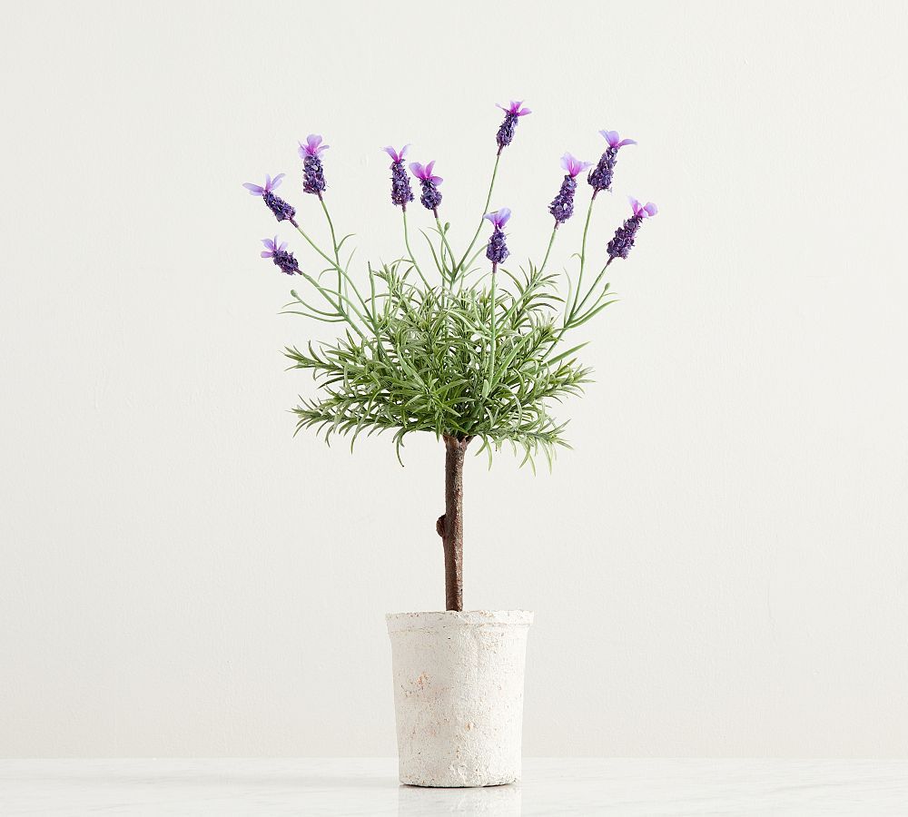 Monique Lhuillier Faux Lavender Potted Topiary | Pottery Barn (US)