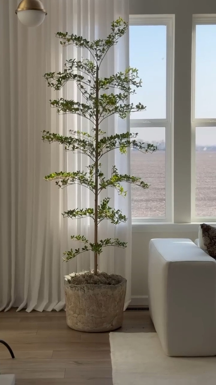 I’ve always wanted a designer black olive tree & I found the prettiest inspired one for less on Amazon😍Definitely a 12/10 find🫶🏼


#LTKSaleAlert #LTKHome #LTKWatchNow