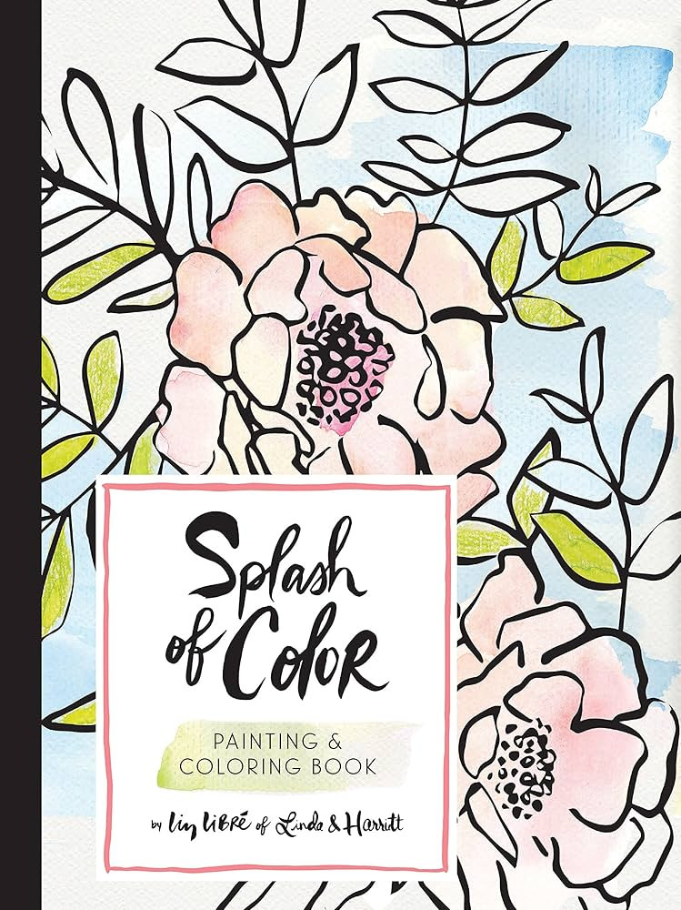 Splash of Color Painting & Coloring Book | Amazon (US)