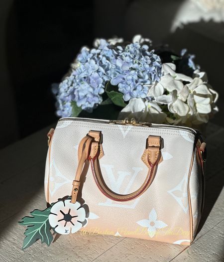 Happy Monogram Monday! Now that it is spring, I am gravitating to my lighter color bags like the LV Speedy B25 in Brume from the By The Pool Collection. 

#LTKItBag #LTKSeasonal #LTKStyleTip