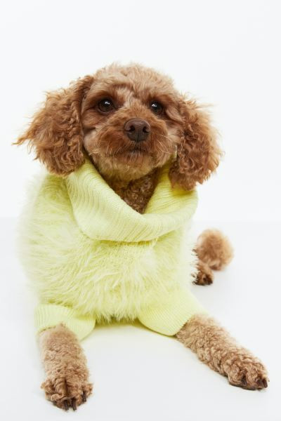 Fluffy Dog Sweater | H&M (US + CA)