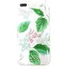 Kate Spade Protective Hardshell Case for iPhone Leaf/Green/Clear (iPhone 8 Plus/7 Plus/6s Plus/6 ... | Amazon (US)