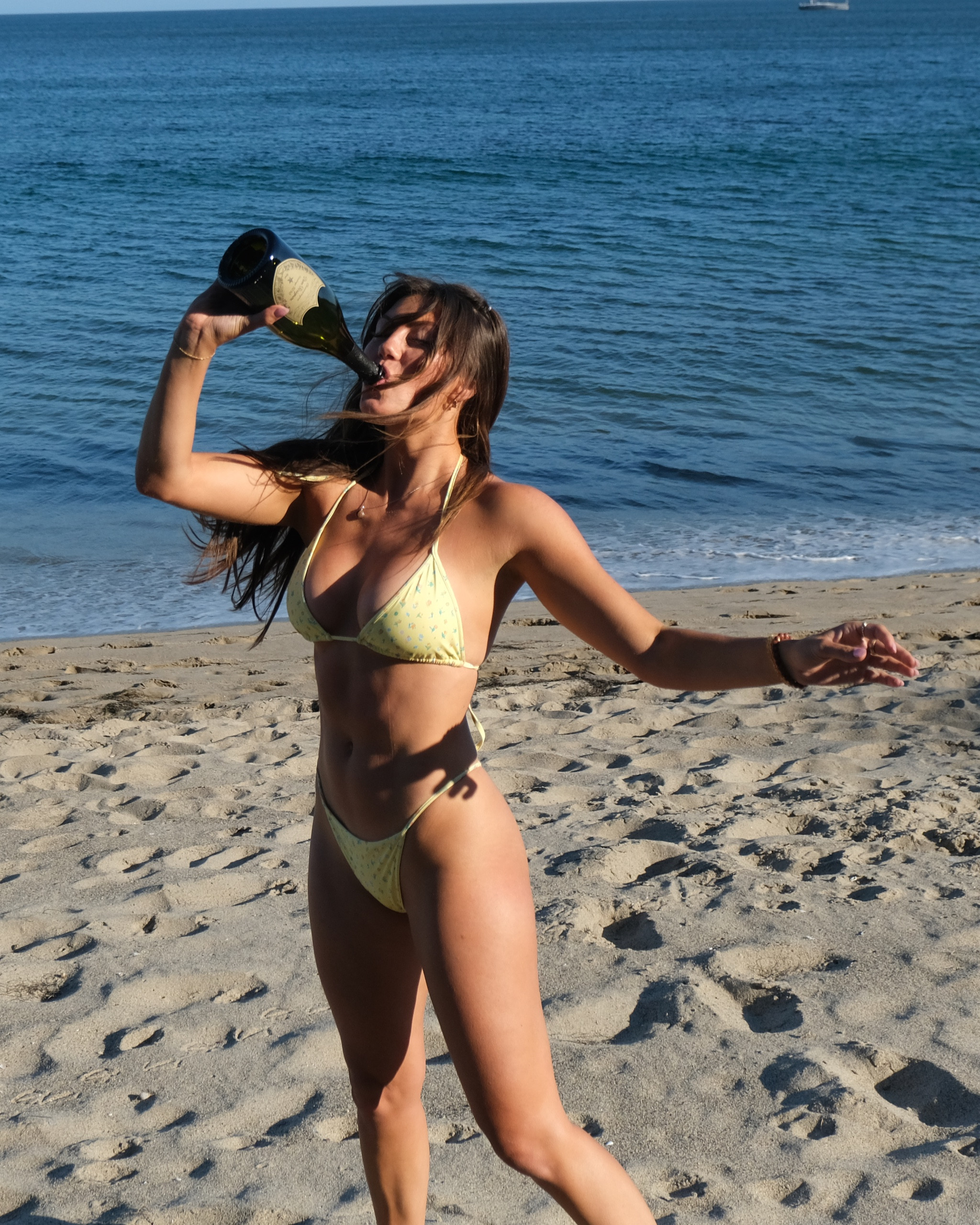 frankies bikini from the Pamela Anderson collection 

#LTKSeasonal