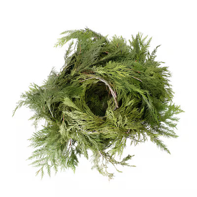 National Plant Network  20-ft Fresh Cedar Christmas Garland | Lowe's