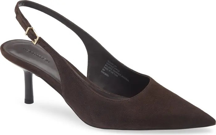 Liza Pointed Toe Pump (Women) | Nordstrom