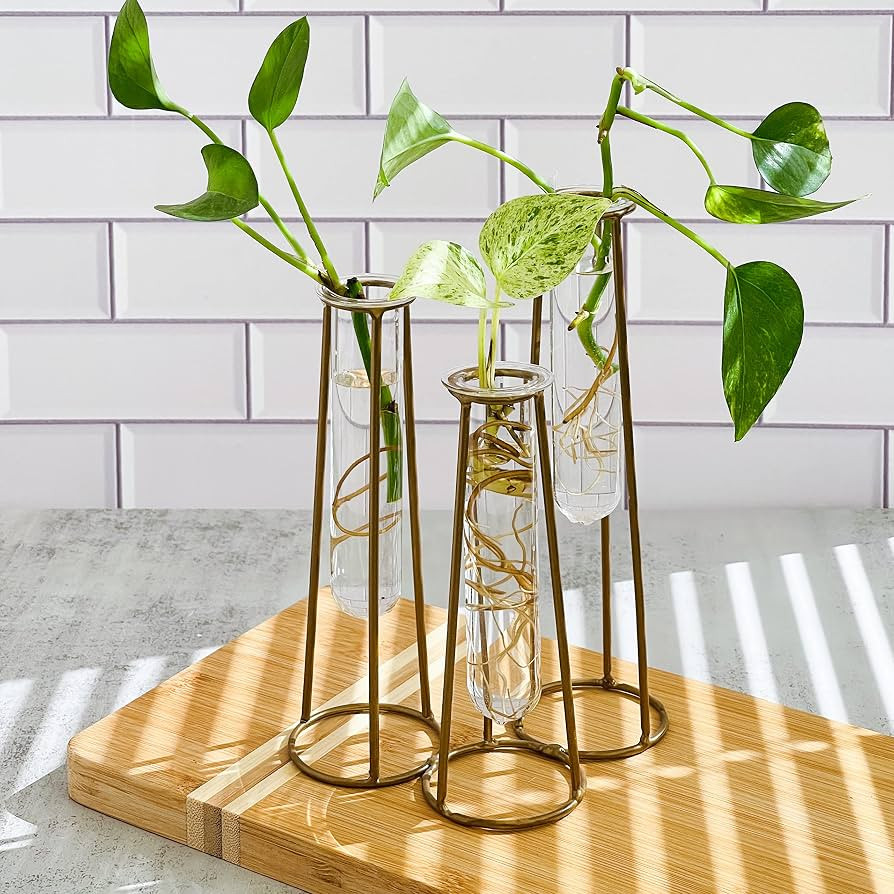 Propagation Station Terrariums with Gold Metal Stand - Kate Aspen 3 Glass Test Tube Planters for ... | Amazon (US)