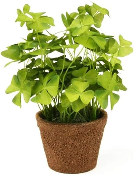 Floristrywarehouse Faux Silk Green Shamrock Oxalis Clover in a Pot 10 Inches Tall | Amazon (US)