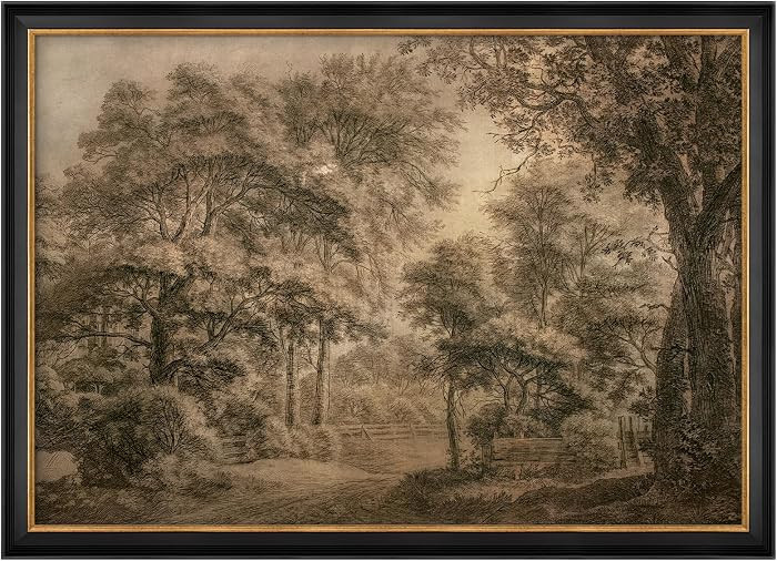 MUDECOR Premium Framed Wall Art Antique Sepia Dense Forest Tree Classic Etching Illustrations Imp... | Amazon (US)