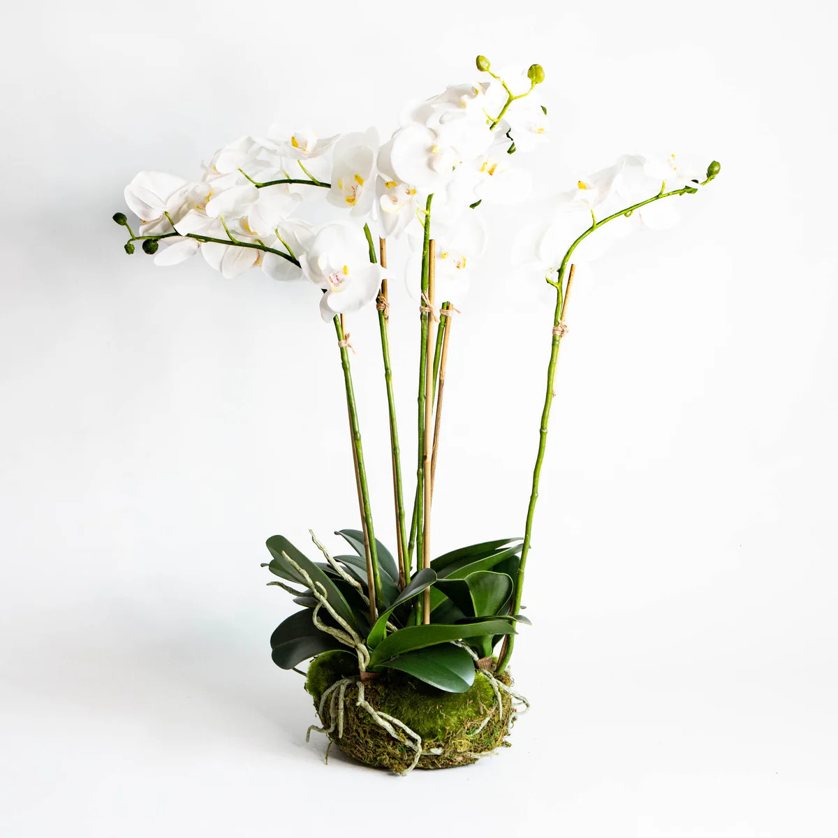 25" Faux Orchid Drop-In | Susan Gordon Pottery