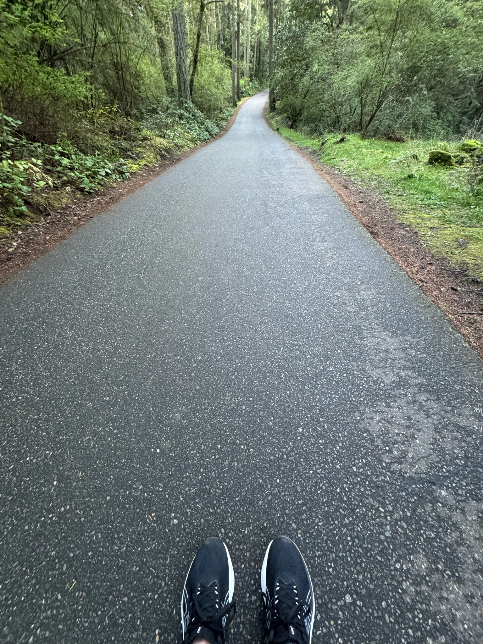 Great running shoes