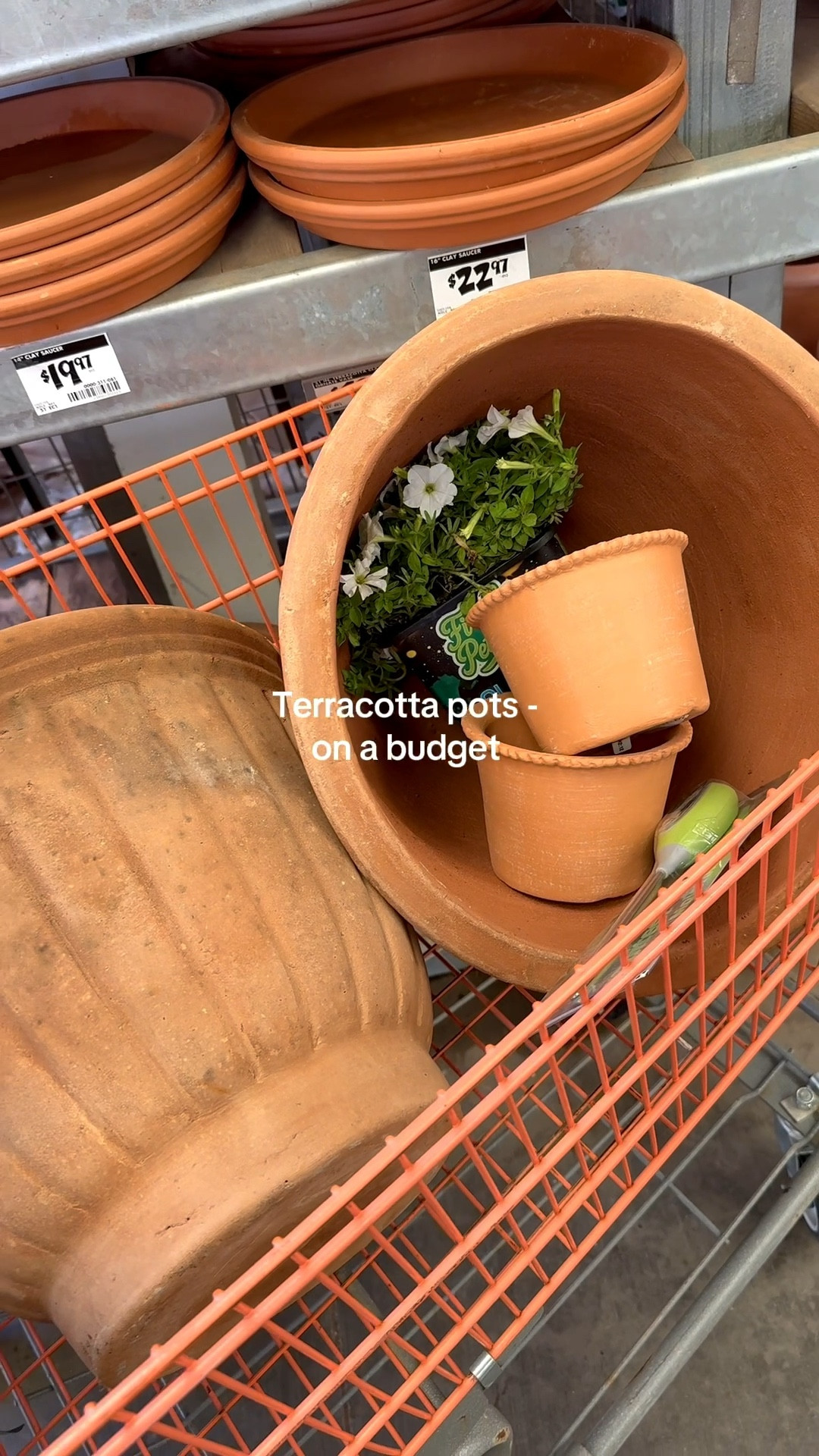 Terra cotta pots on a budget. Perfect for garden season 

#LTKHome #LTKSeasonal