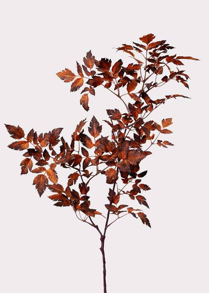 Afloral\u2122 Faux Cimicifuga Leaf Spray in Brown - 31" | Amazon (US)
