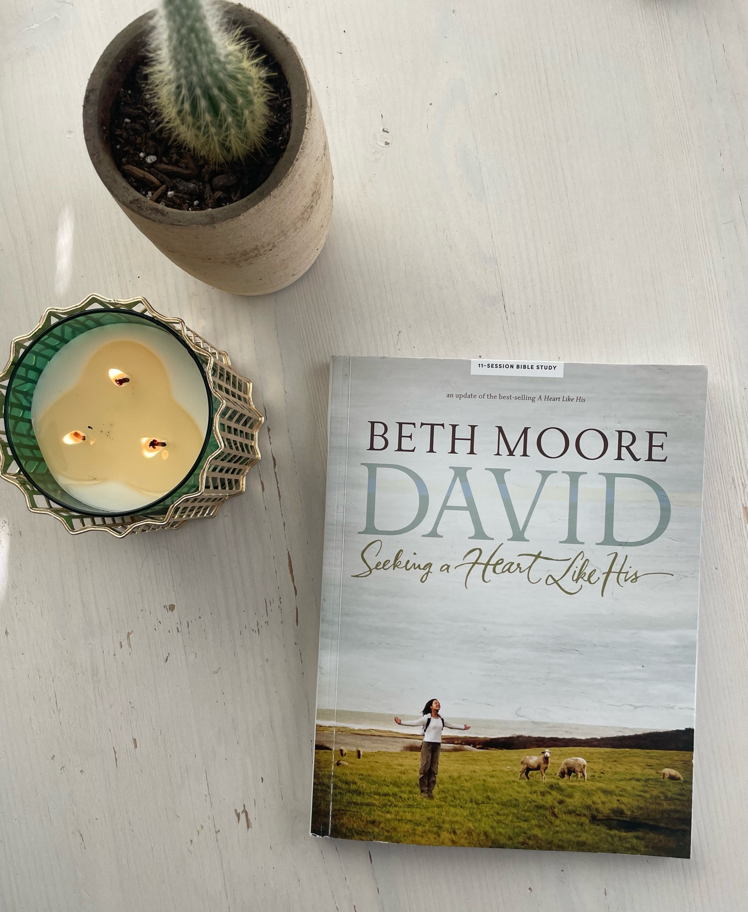 Bible Study: David! 🪨

#LTKGiftGuide