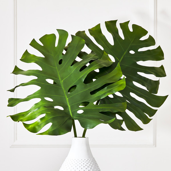 Split Leaf | Z Gallerie