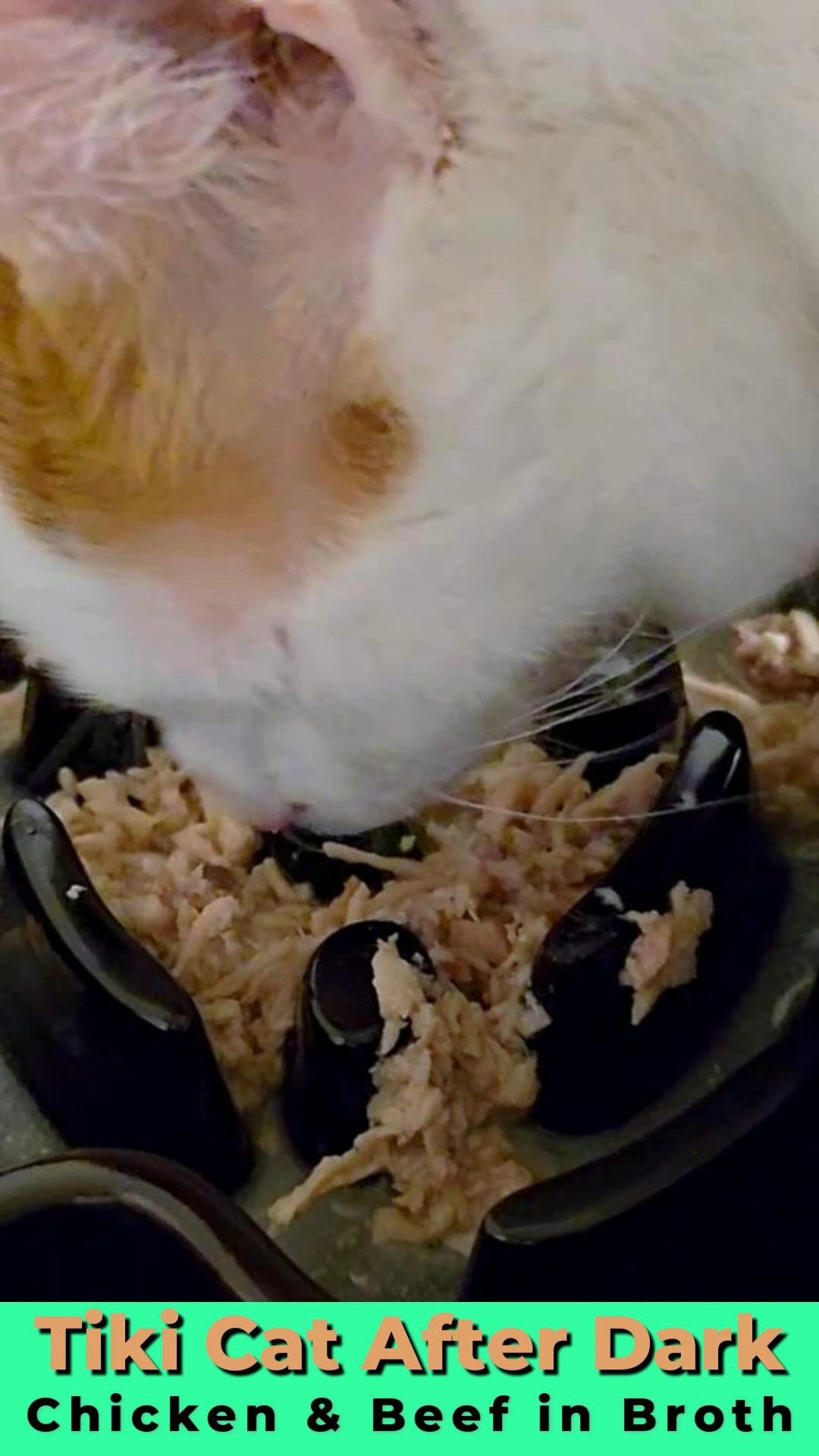 Looking for the best high-protein wet food for your cat? 🐈 I’m sharing our top pick: Tiki Cat After Dark Chicken & Beef in Broth. It’s grain-free, non-GMO, and features real shredded meat and organ pieces in a savory broth—perfect for keeping your feline hydrated and healthy. Ideal for all life stages, especially picky eaters!​#LTKpet #CatCare #TikiCat #PetSupplies #CatFoodReview #GrainFreeCatFood #HealthyPets​Shop this post directly on the LTK app for the best price! ✨

#LTKHome