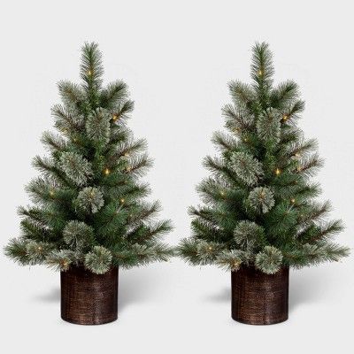 2pc 3' Pre-Lit Virginia Pine Potted Artificial Christmas Tree Clear Lights - Wondershop™ | Target