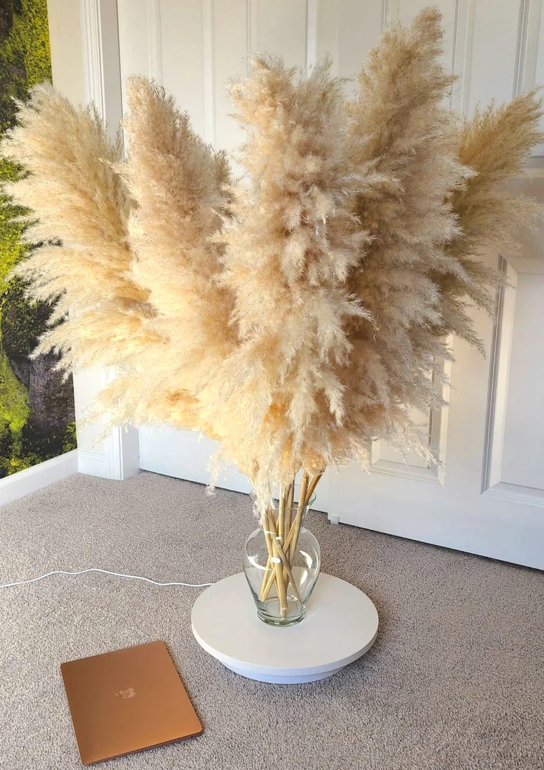 5pcs TALL PAMPAS GRASS 2-4ft Grand Sale Dry Florals for Home Decor Boho Decor Wedding Arch Floral... | Etsy (US)