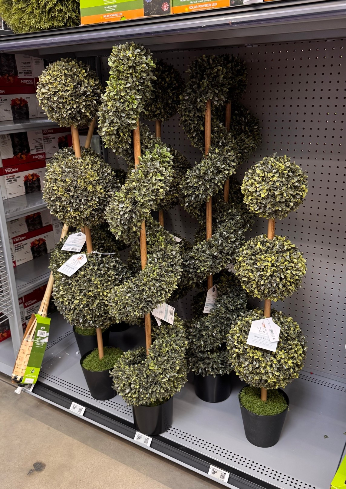 Viral Topiary restocked!!