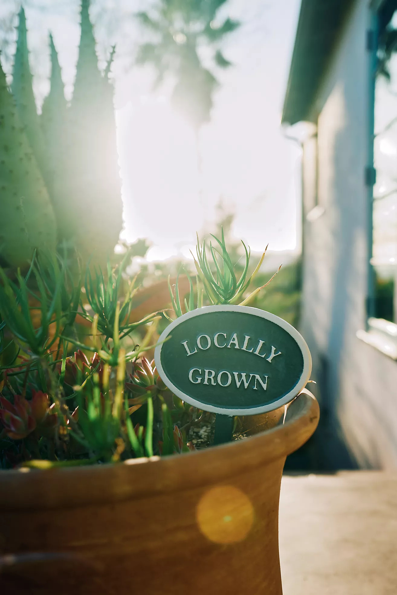 Locally Grown Staked Iron Sign | Terrain