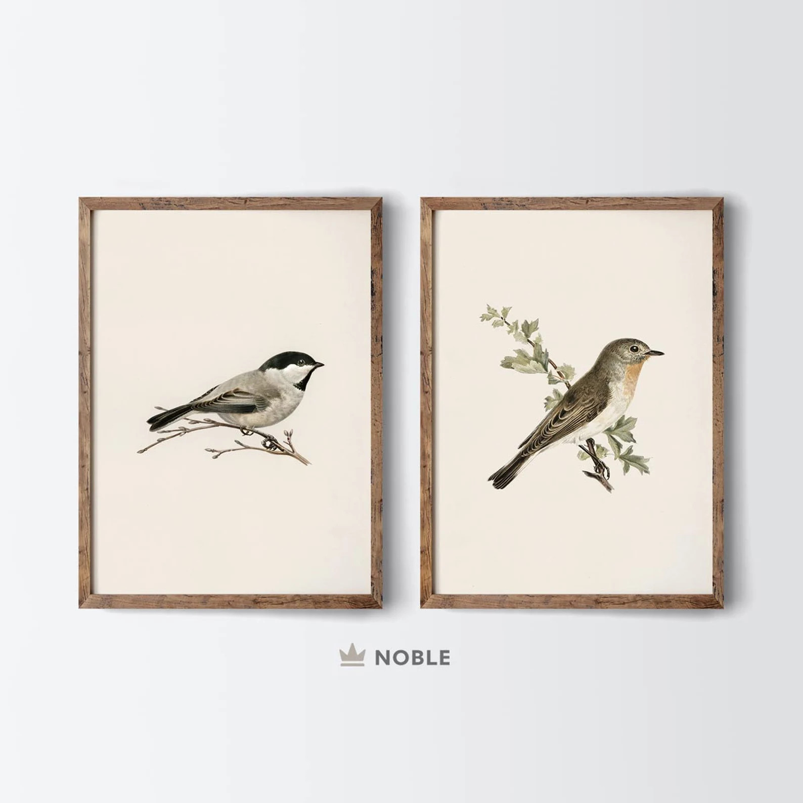 Antique Bird Drawings, Set of 2, Printable Nursery Set of 2 Prints, Farmhouse Kitchen Wall Decor,... | Etsy (US)