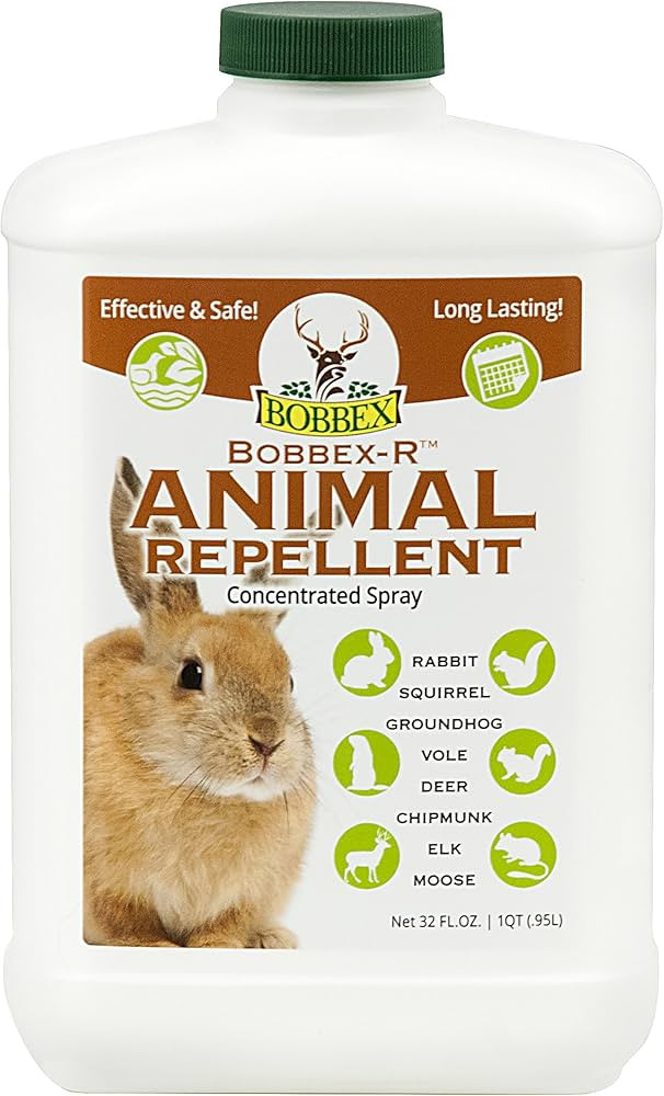 Bobbex Concentrated Animal Repellent Rabbit, Squirrel, and Chipmunk Repeller Concentrate (32 oz.)... | Amazon (US)