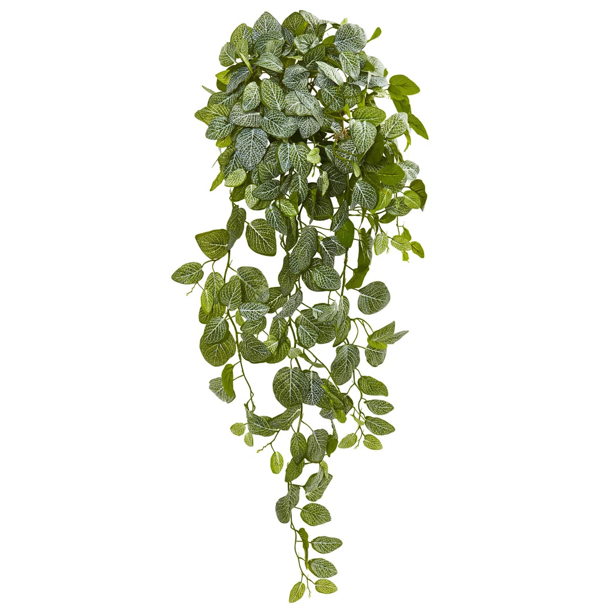 Primrue  36in. Fittonia Hanging Bush Artificial Plant (Set of 2) (Real Touch) | Wayfair | Wayfair North America