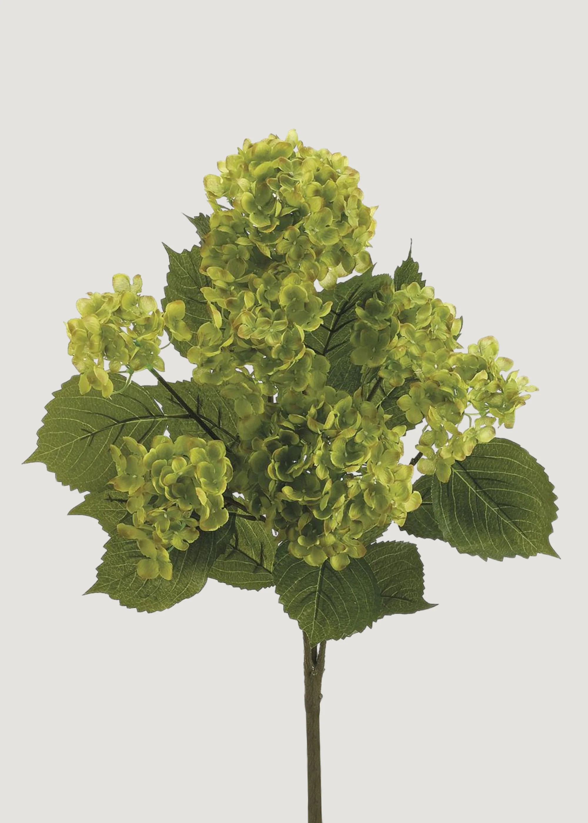 Artificial Hydrangea Bush in Green | Permanent Fake Flowers | Afloral | Afloral