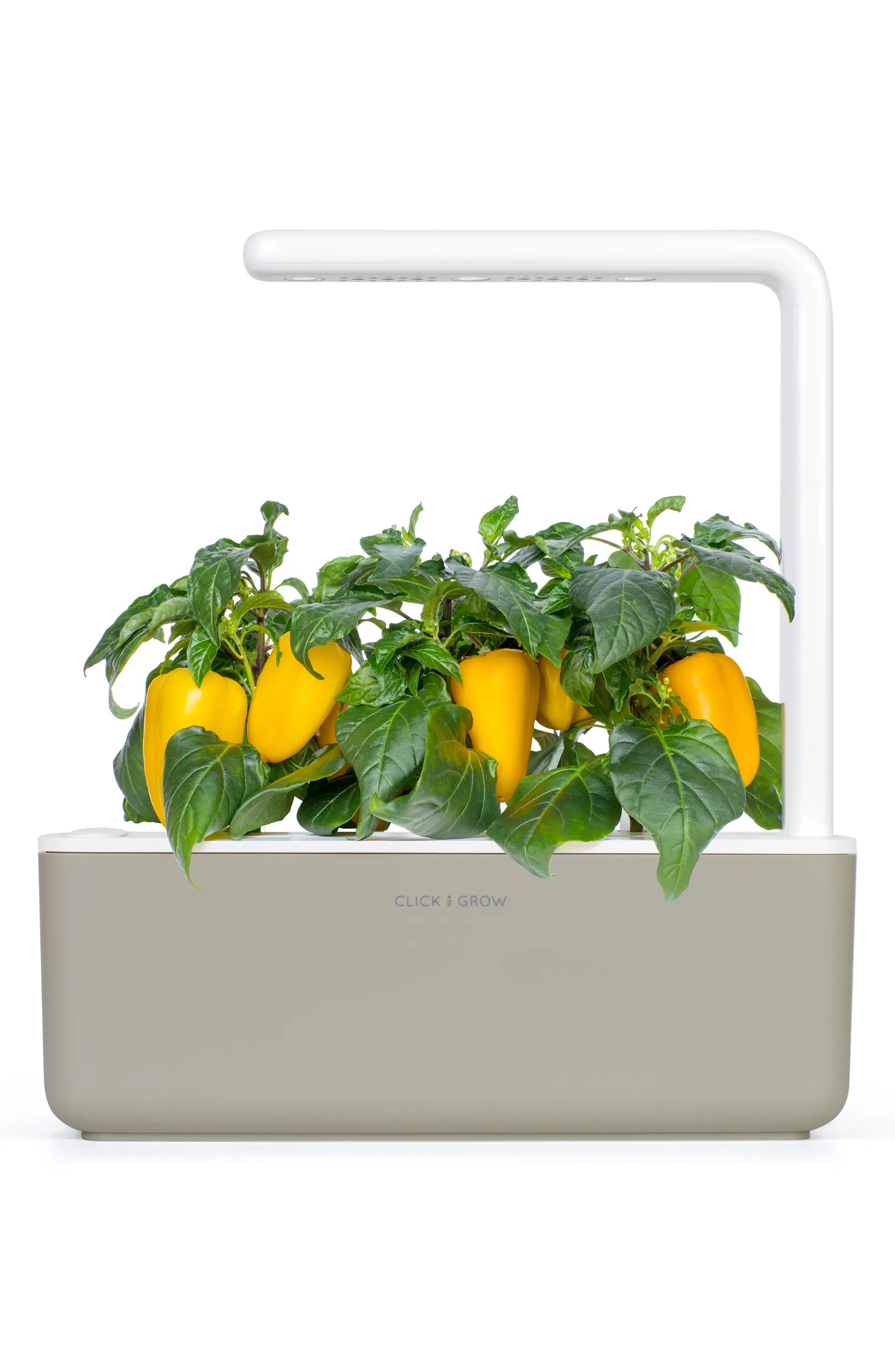 Click & Grow Smart Garden 3 Self Watering Indoor Garden | Nordstrom | Nordstrom