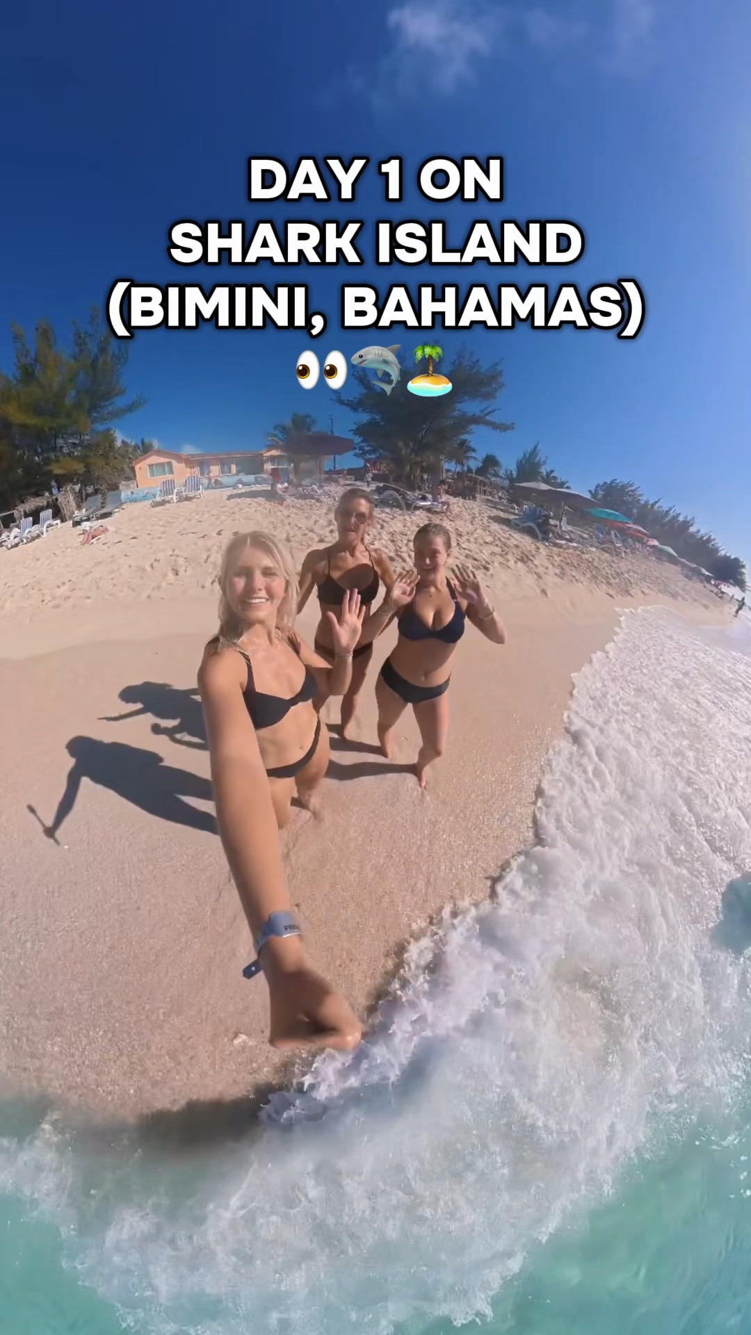 Everything I did on Day 1 in Bimini! Such a beautiful island in the Bahamas🩵🦈
@bimini_waterfront_villas @baleariacaribbean 

#bahamas #bimini #sharks #ocean #island 

#LTKTravel #LTKActive #LTKSwim