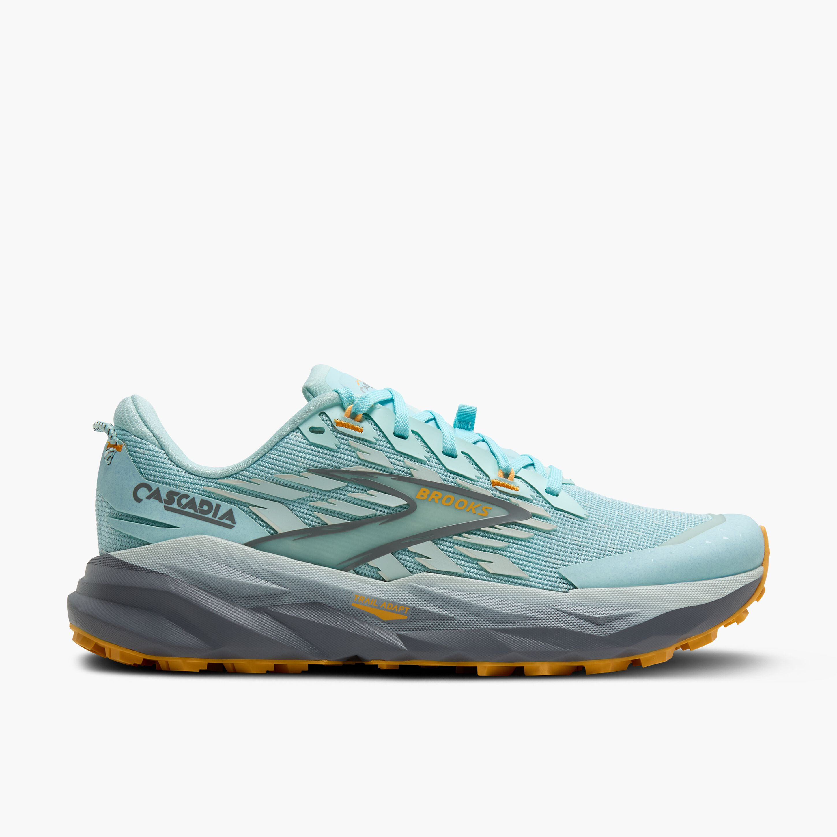 Cascadia 19 | Brooks Running