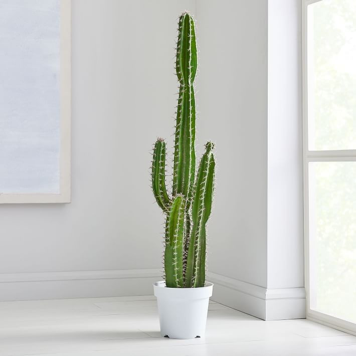 Faux Potted Cactus Plant | West Elm (US)