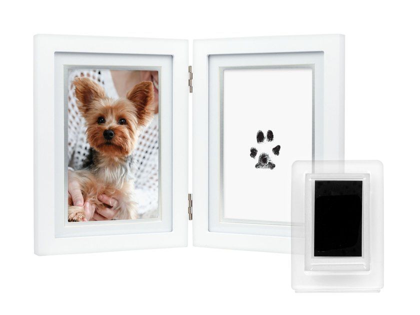 PEARHEAD Pawprints Desk Frame & Ink Kit, 4 x 6-in - Chewy.com | Chewy.com