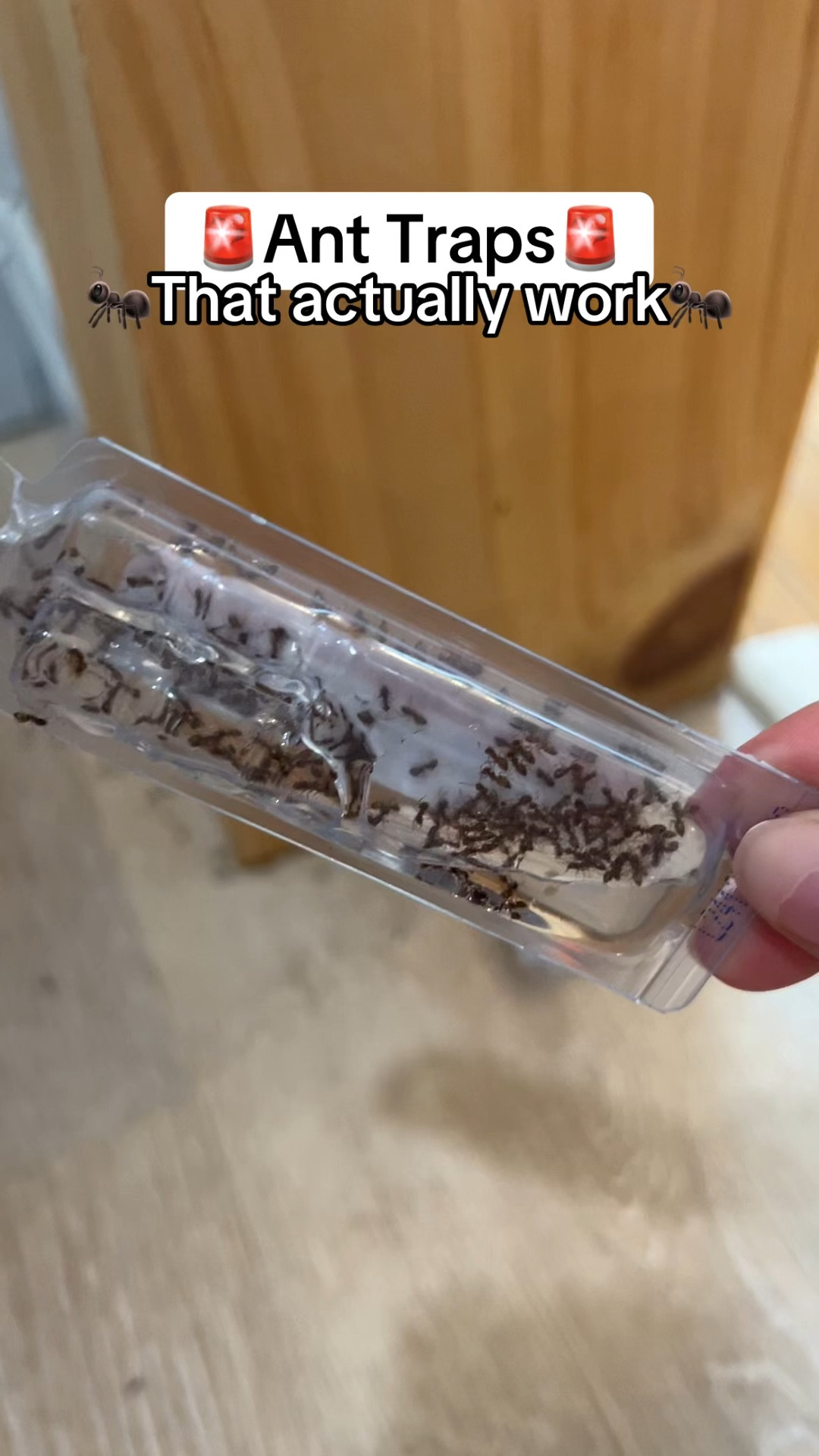 🚨GET RID OF ANTS FAST🚨

#LTKHome