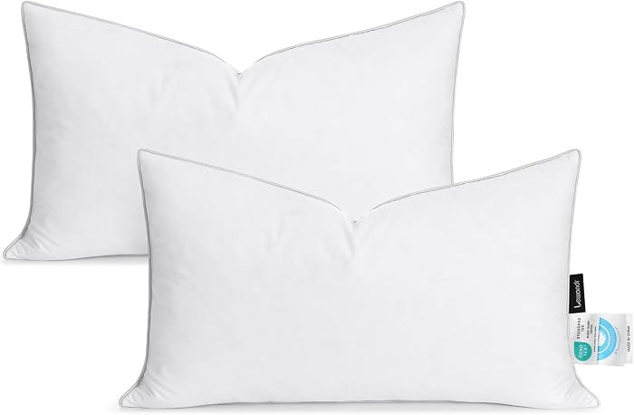Lewondr 12x20 inch Pillow Insert Set of 2, Down and Feather Throw Pillow Inserts Premium Soft Flu... | Amazon (US)
