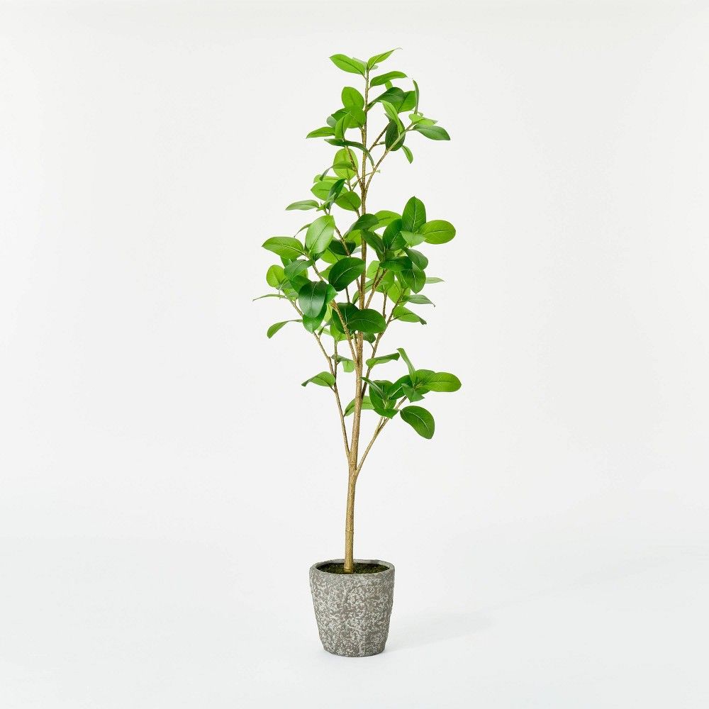 Banyan Leaf Potted Tree - Threshold designed with Studio McGee | Target