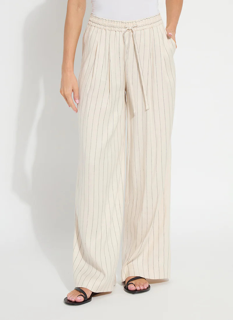 Iria Pleated Drawstring Wide Leg Pant (31" Inseam) | Lysse NY