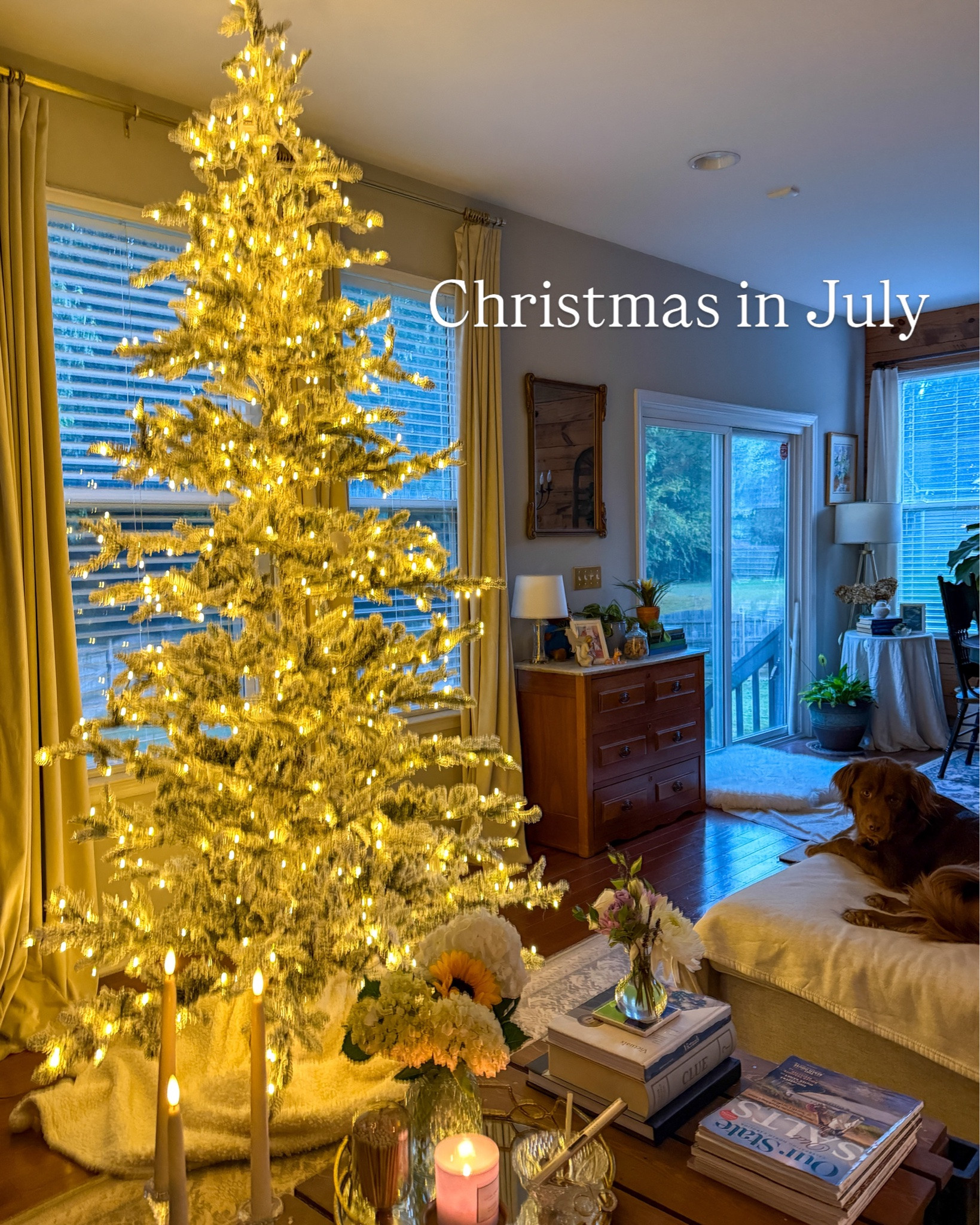 It’s July. It’s been 200 degrees outside. And there is a fully lit Christmas tree glowing in my living room right now. 🎄☀️

No, I have not lost it (yet). If you know me, you know I try to get ahead of the holiday chaos instead of white-knuckling it through Thanksgiving — so this year, I partnered up with @kingofchristmas again to set up our new 9’ King Noble Flock tree months before the season even starts.

Unboxing, seeing it up in our living room during the summer, and my honest first-look review are all up on the blog now. Spoiler: I am obsessed and am enjoying the twinkle lights on this rainy weekend. ✨

Comment FLOCKED and I will send you the link to read more! 🎄

#kingofchristmas, #gifted #kingofchristmaspartner