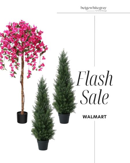 Flash sale / flash deal at Walmart!! You know me! I’m all about my faux flowers and greenery for the outdoor Texas heat! And these are on sale currently. Place them in a plante and your done! 

#LTKSaleAlert #LTKHome #LTKFindsUnder50
