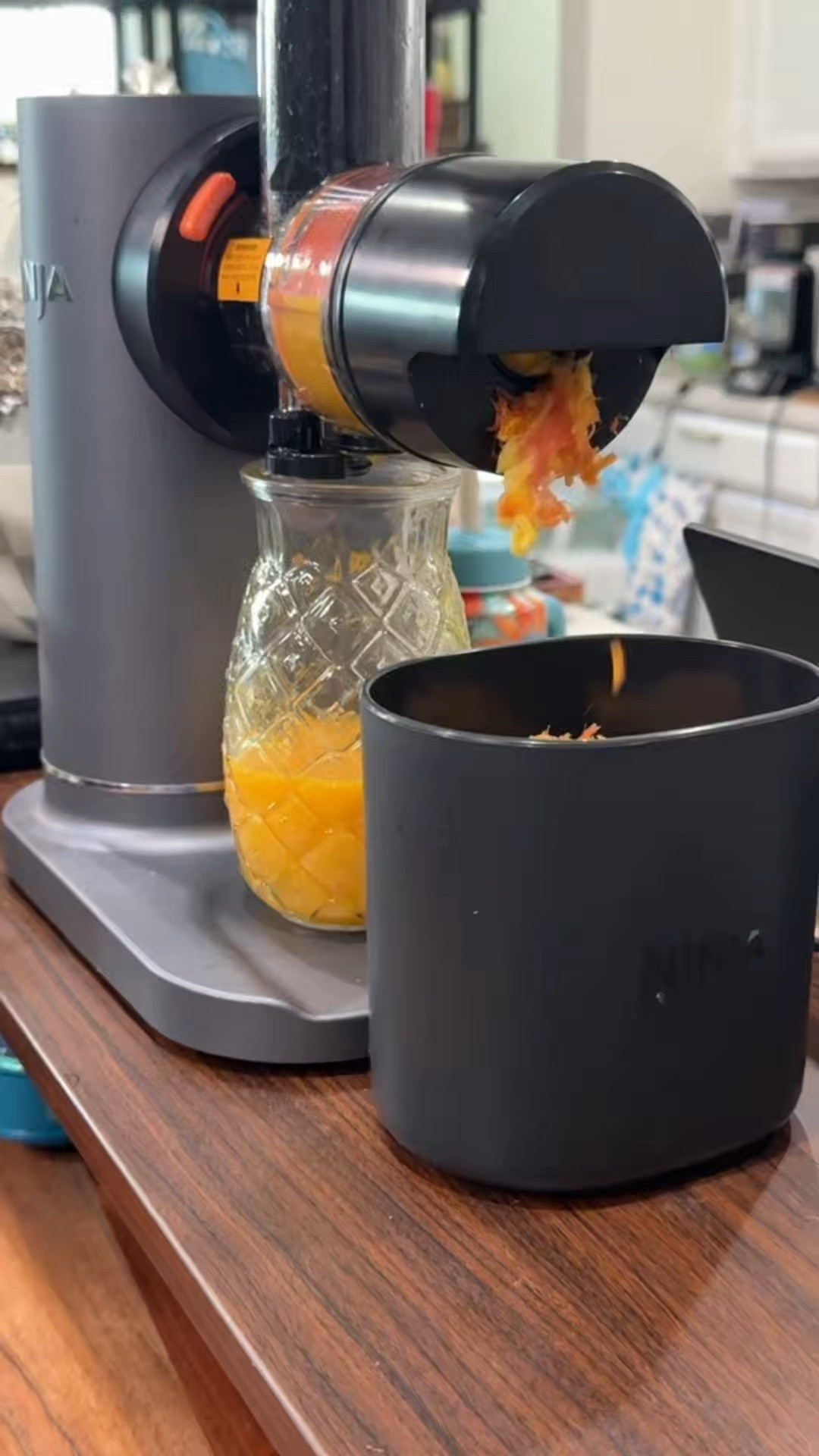 Healthy habits are easier when your kitchen tools actually work.

This Ninja®️ NeverClog Juicer is compact, quiet, and perfect for fresh homemade juices without the mess or hassle 🤍

A must-have for wellness lovers, busy mornings, and healthier routines.

👉 Saved in my LTK under “Kitchen Deals"

#LTKfitnessgoals #LTKselfcare #LTKfoodie